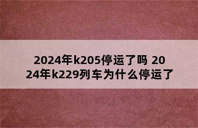 2024年k205停运了吗 2024年k229列车为什么停运了